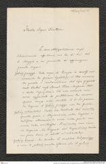 Nachlass Franz Steindachner, Brief von Alessandro Ninni an Franz Steindachner (16.05.1882), Inv.Nr. 365.05, Seite 1